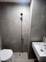 Cavenagh Lodge (D9), Apartment #434981411